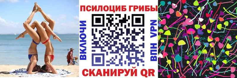 Псилоцибиновые грибы Psilocybe KRAKEN рабочий сайт Острогожск хочу наркоту