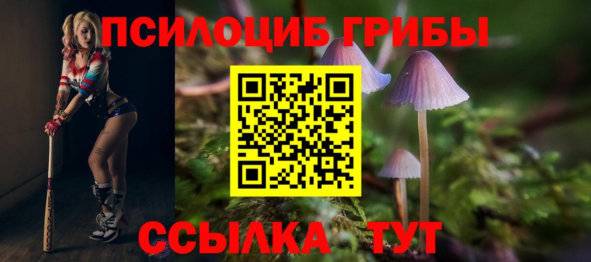 Острогожск  Псилоцибиновые грибы мухоморы  Вход с VPN 
